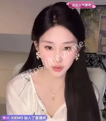 网红撞脸刘亦菲